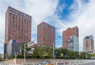 成都硬皮糖便宜吗