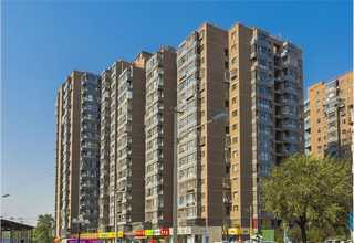 湘潭精品恐龙图片